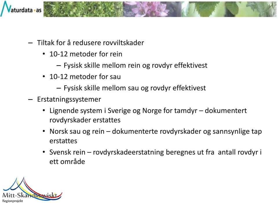 Sverige og Norge for tamdyr dokumentert rovdyrskader erstattes Norsk sau og rein dokumenterte rovdyrskader