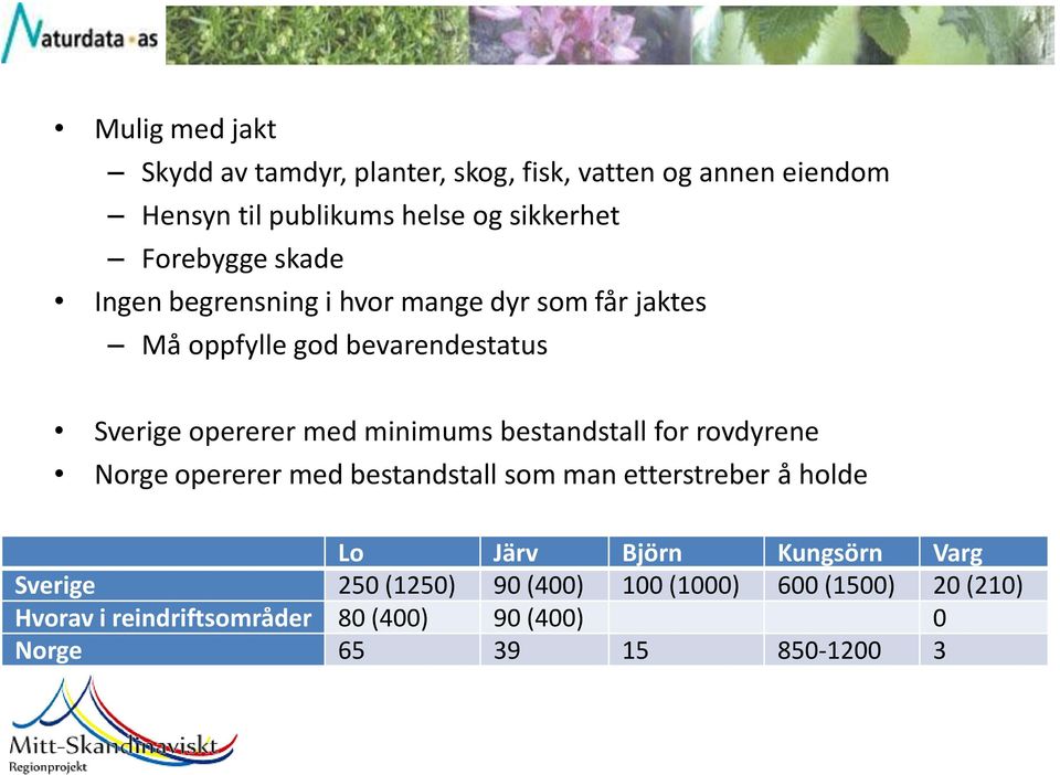 minimums bestandstall for rovdyrene Norge opererer med bestandstall som man etterstreber å holde Lo Järv Björn Kungsörn