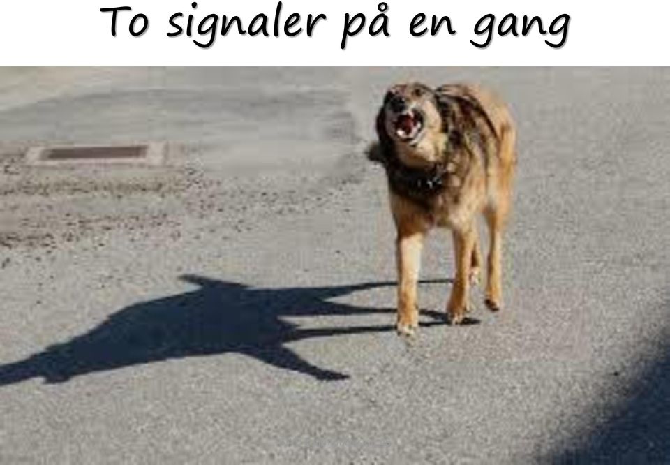 på en