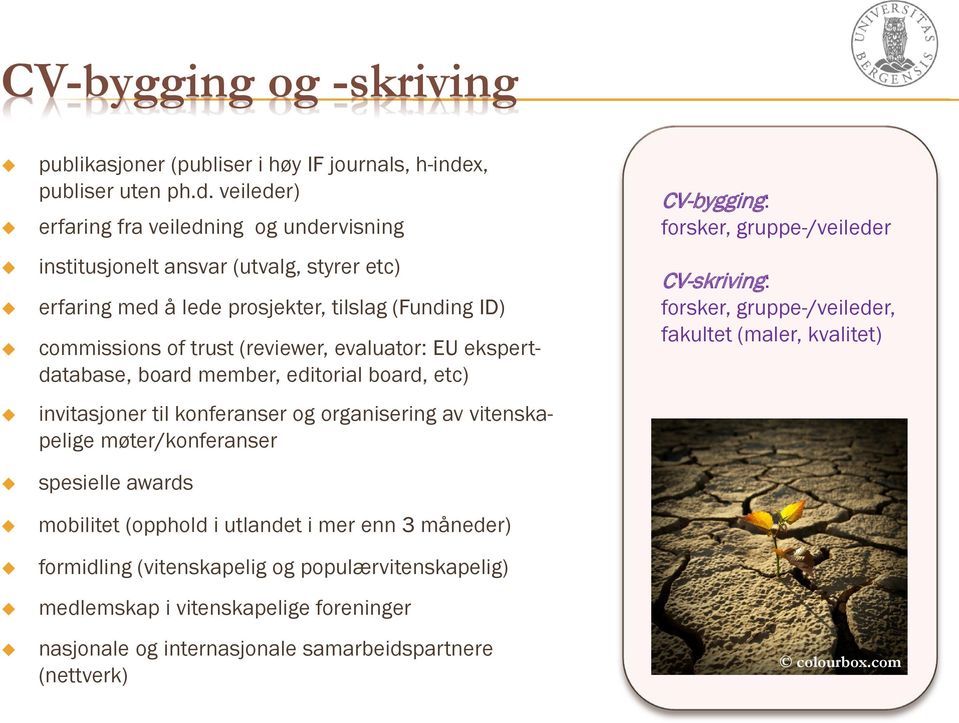 veileder) erfaring fra veiledning og undervisning institusjonelt ansvar (utvalg, styrer etc) erfaring med å lede prosjekter, tilslag (Funding ID) commissions of trust (reviewer, evaluator: