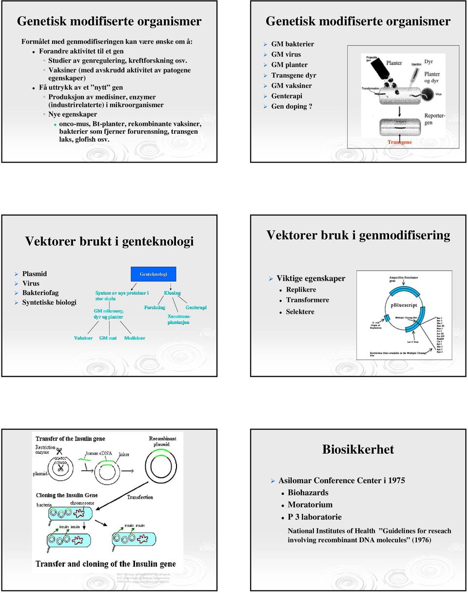 rekombinante vaksiner, bakterier som fjerner forurensning, transgen laks, glofish osv. GM bakterier GM virus GM planter Transgene dyr GM vaksiner Genterapi Gen doping?