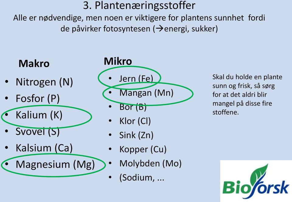 (Ca) Magnesium (Mg) Mikro Jern (Fe) Mangan (Mn) Bor (B) Klor (Cl) Sink (Zn) Kopper (Cu) Molybden (Mo)