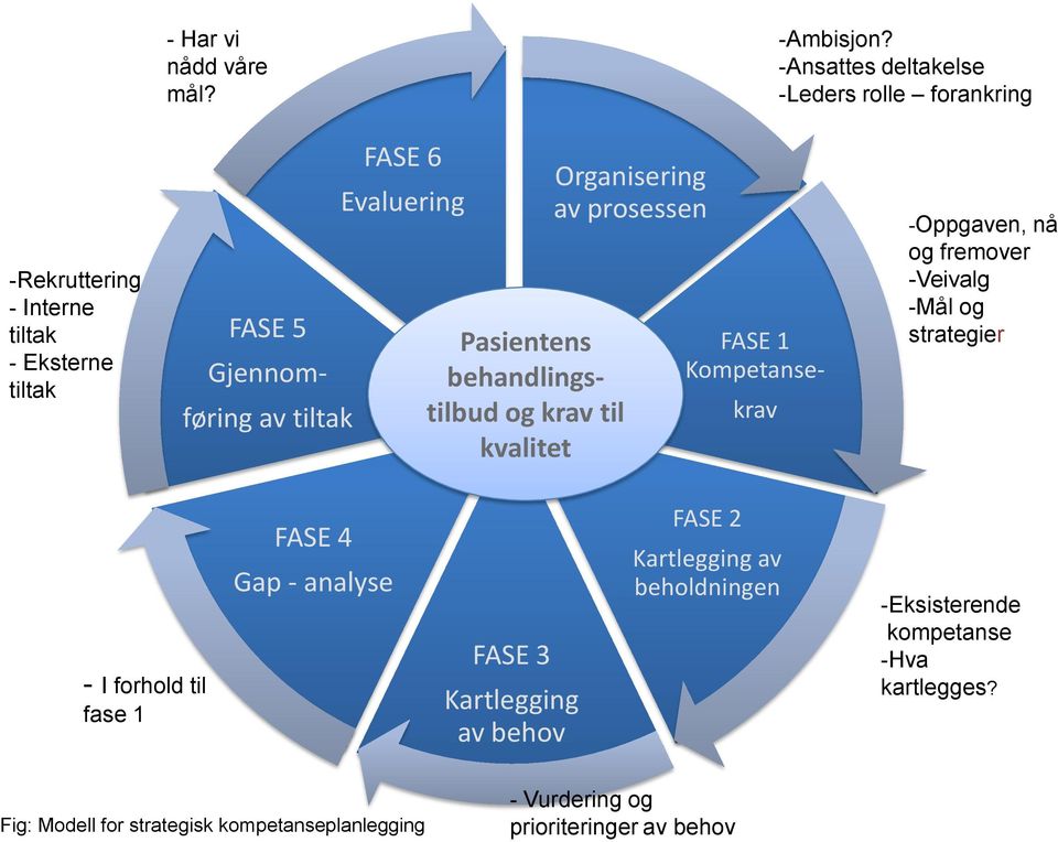 Evaluering Pasientens behandlingstilbud og krav til kvalitet Organisering av prosessen FASE 1 Kompetanse- krav -Oppgaven, nå og fremover