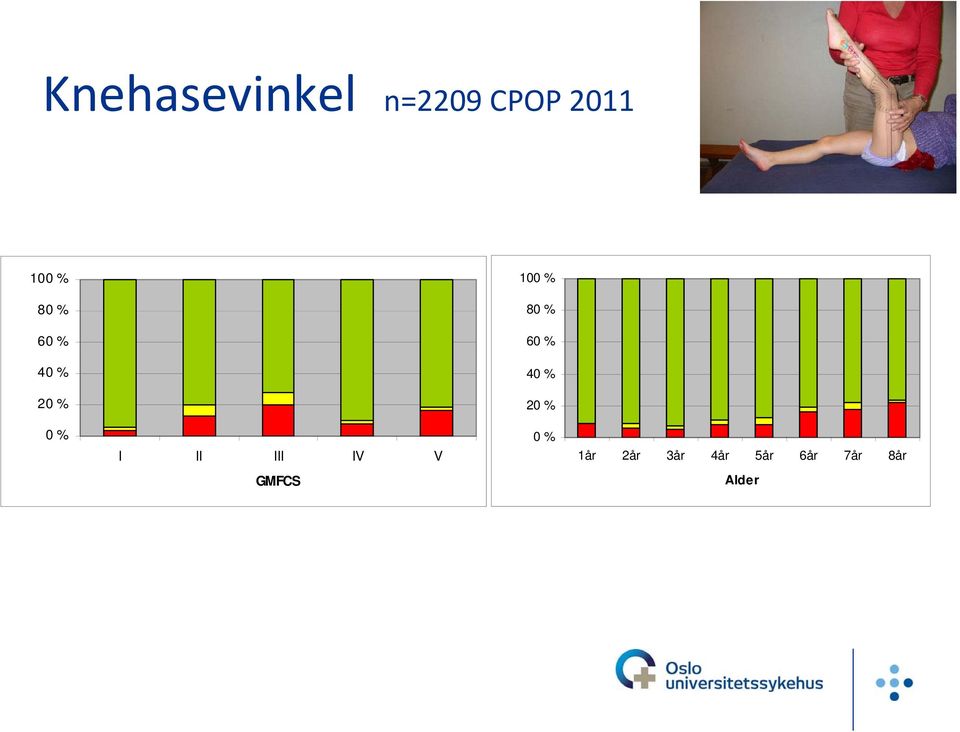 20 % 20 % 0 % I II III IV V 0 % 1år