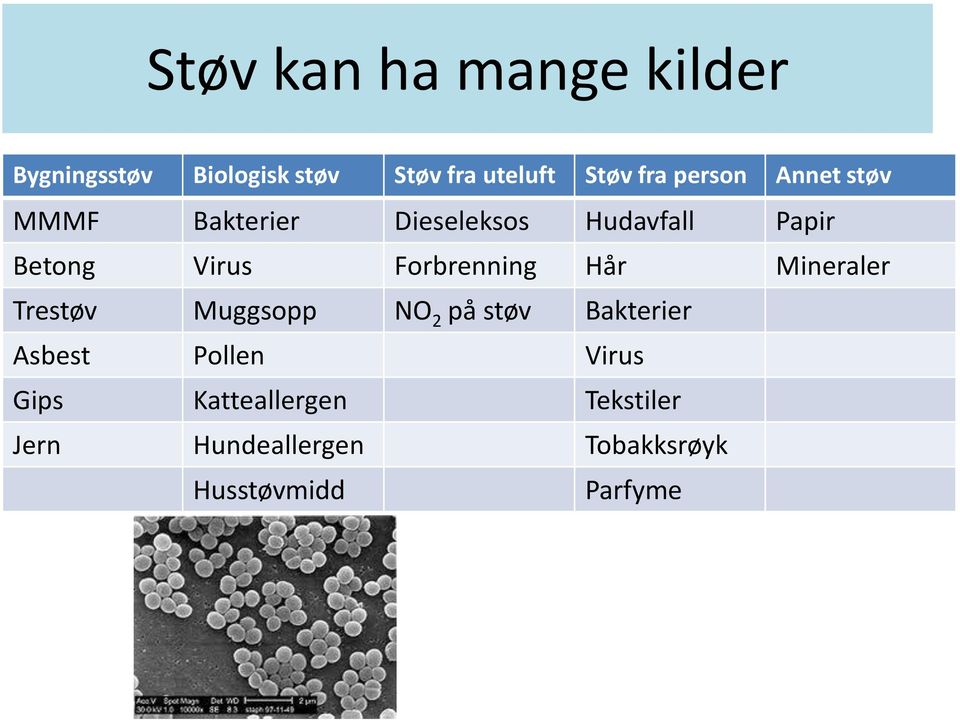 Forbrenning Hår Mineraler Trestøv Muggsopp NO 2 på støv Bakterier Asbest Pollen