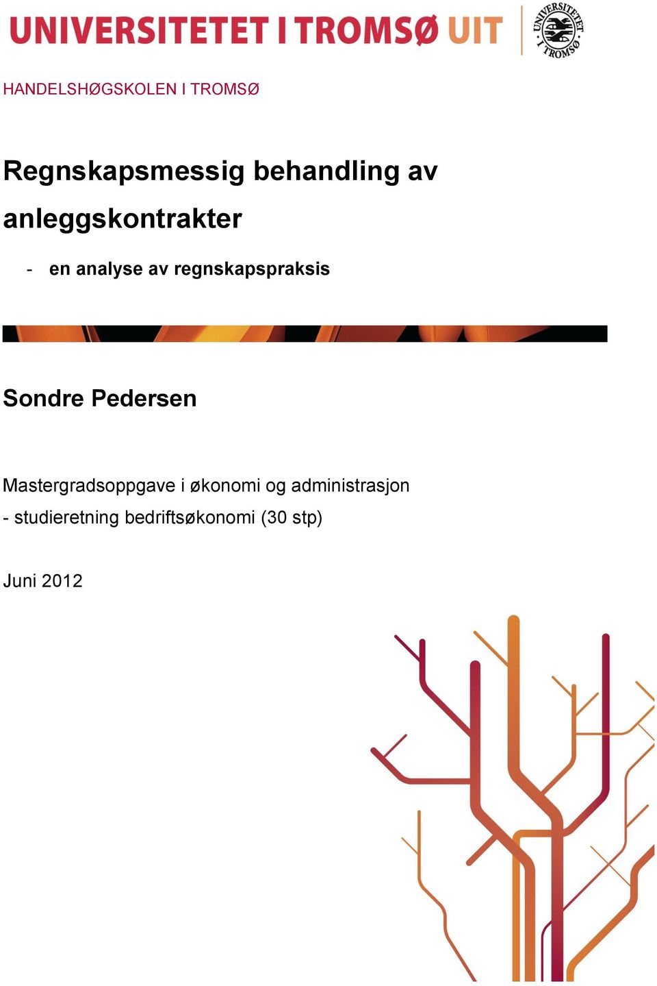 Sondre Pedersen Mastergradsoppgave i økonomi og