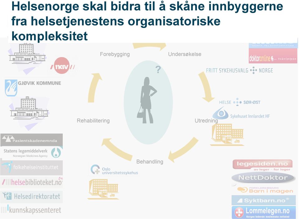 organisatoriske kompleksitet