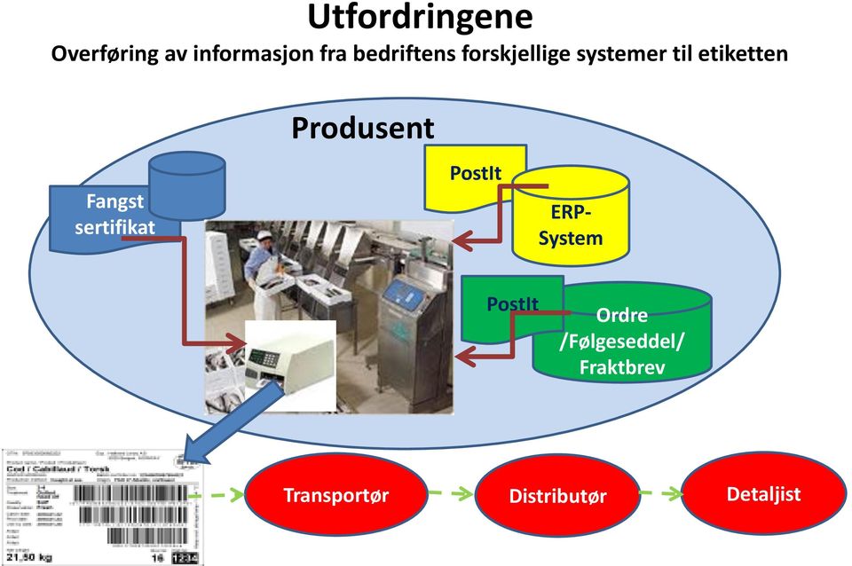 Fangst sertifikat Produsent PostIt ERP- System