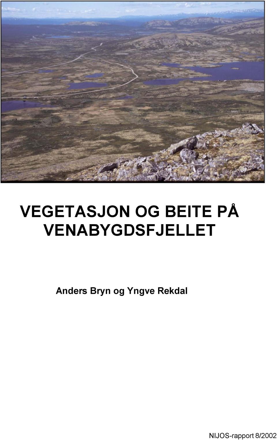 Anders Bryn og Yngve