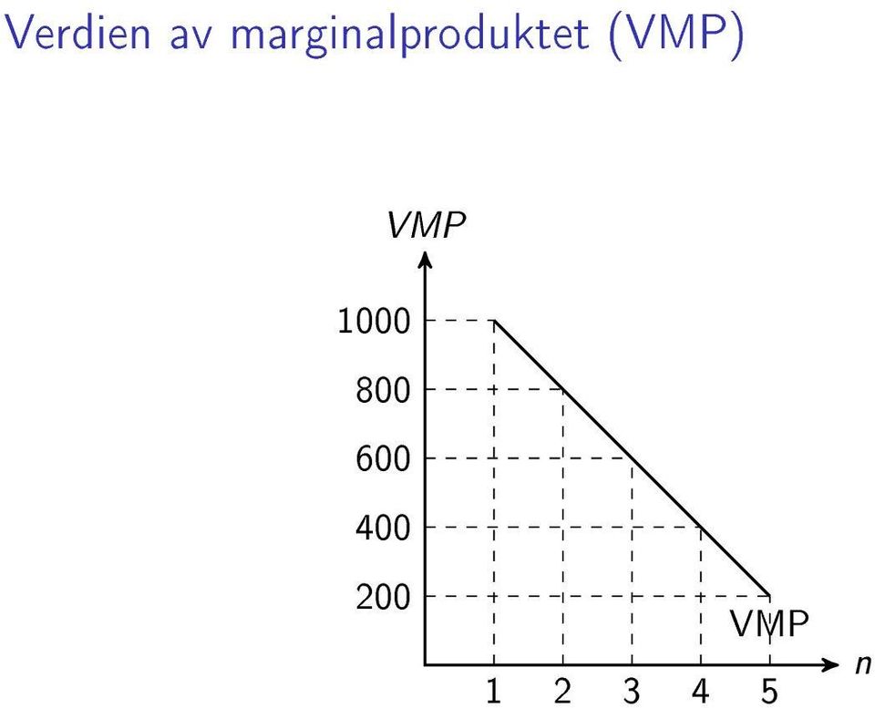 (VMP) VMP 1000 800