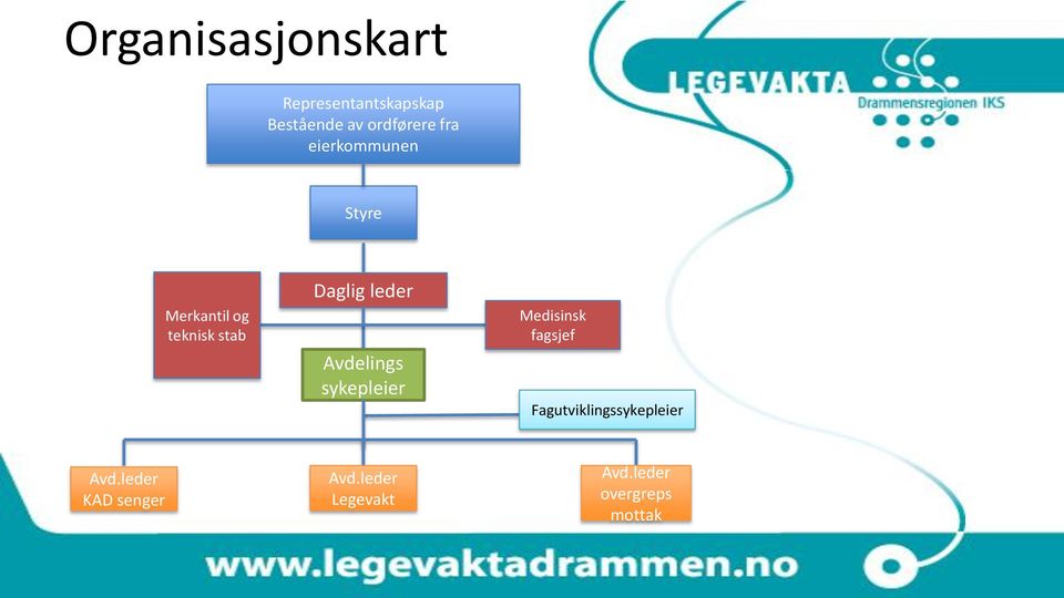 Avdelings sykepleier Medisinsk fagsjef Fagutviklingssykepleier