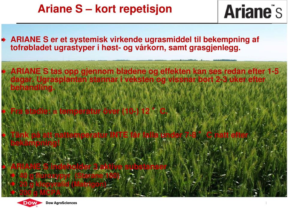 Ugrasplantan stannar i veksten og vissnar bort 2-3 uker efter behandling. Fra stadie: = temperatur över (10-) 12 C.