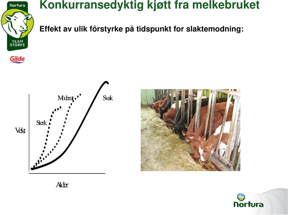 tidspunkt for