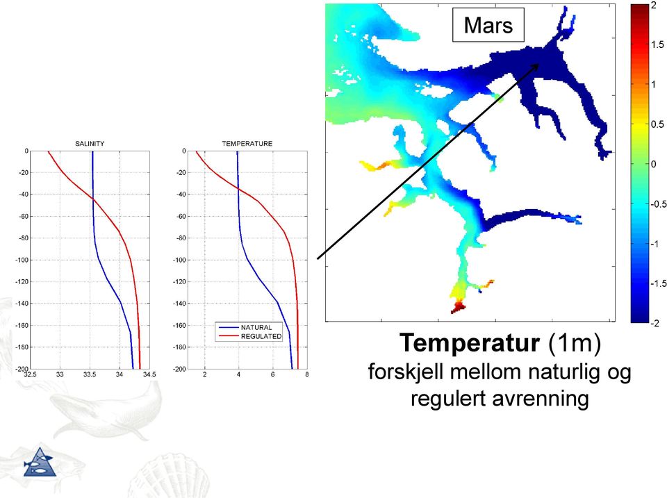 mellom naturlig