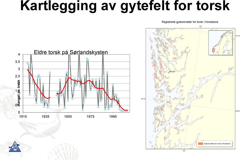 for torsk 4 Eldre torsk på