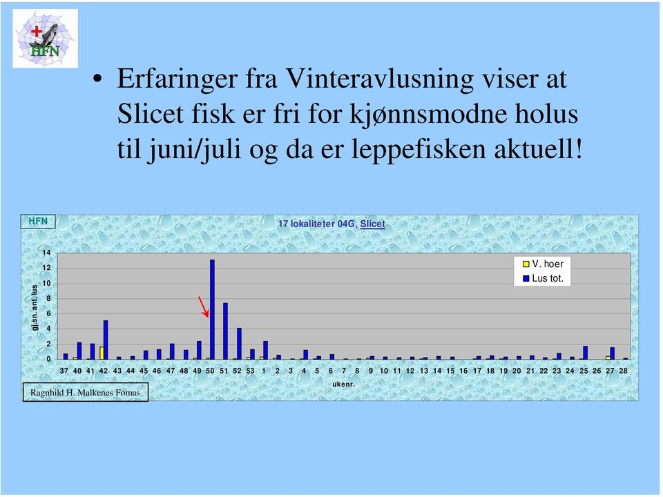 lus 14 12 10 8 6 4 V. hoer Lus tot.