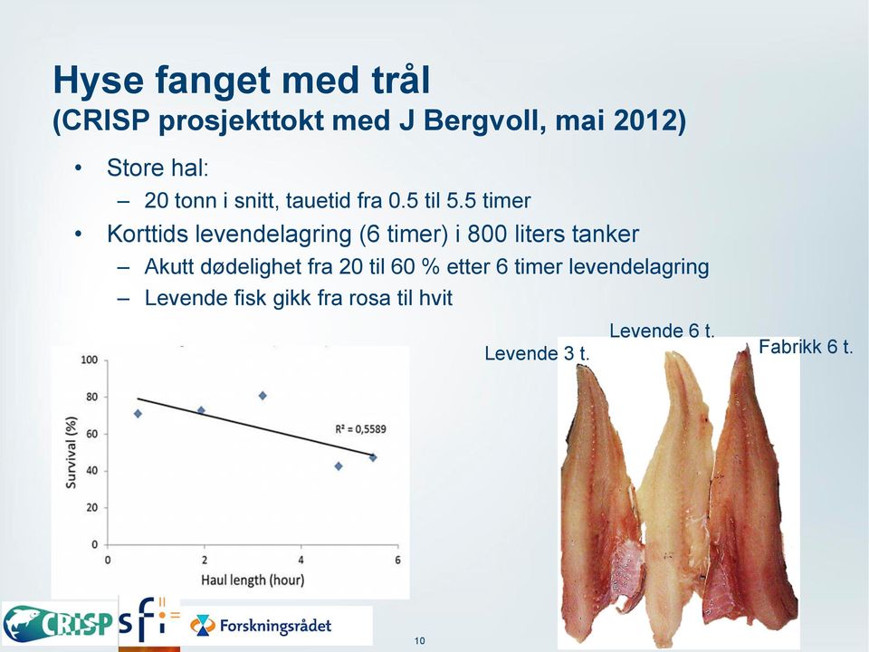 5 timer Korttids levendelagring (6 timer) i 800 liters tanker Akutt dødelighet