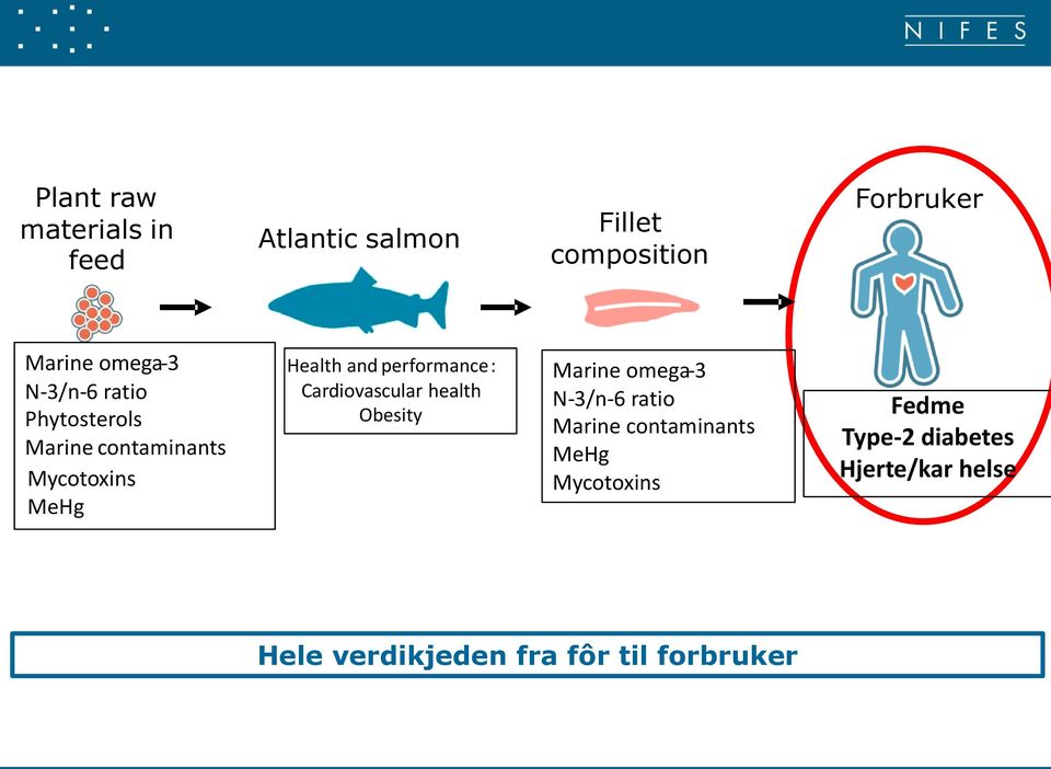 : Cardiovascular health Obesity Marine omega - 3 N - 3/n - 6 ratio Marine contaminants