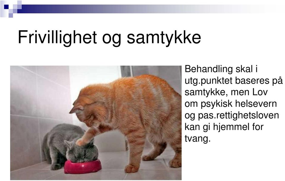 punktet baseres på samtykke, men Lov