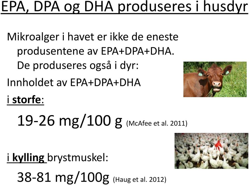 De produseres også i dyr: Innholdet av EPA+DPA+DHA i storfe: