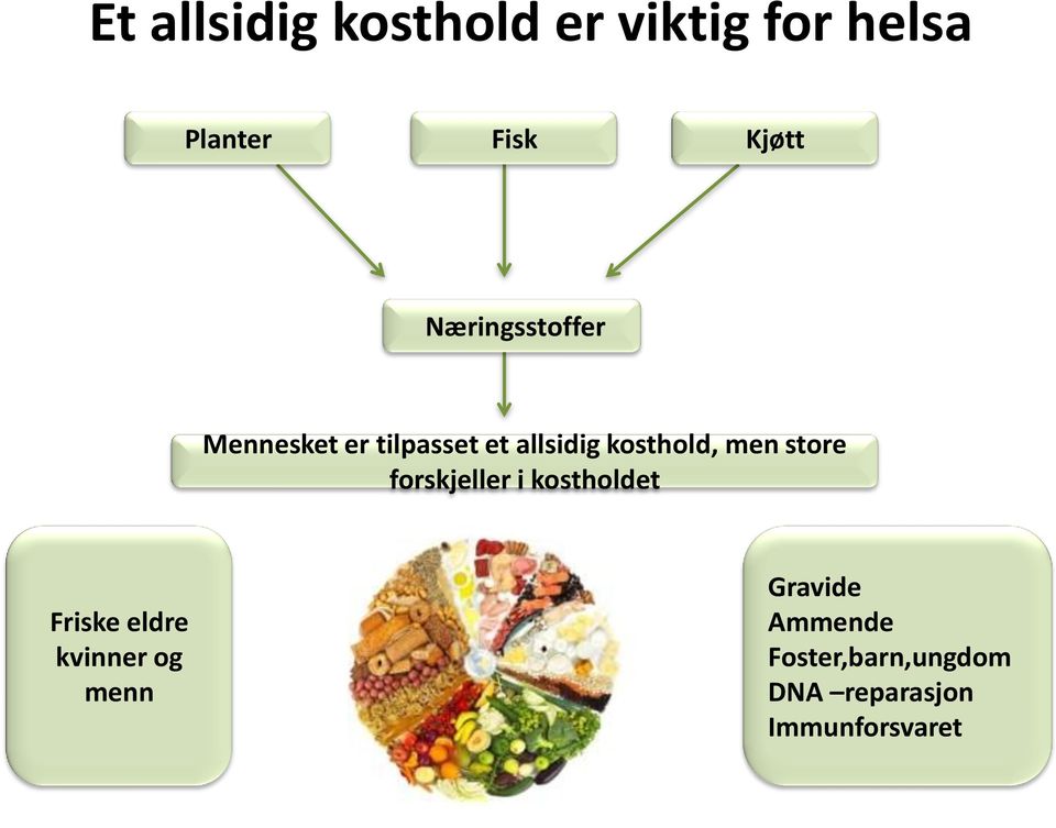 men store forskjeller i kostholdet Friske eldre kvinner og