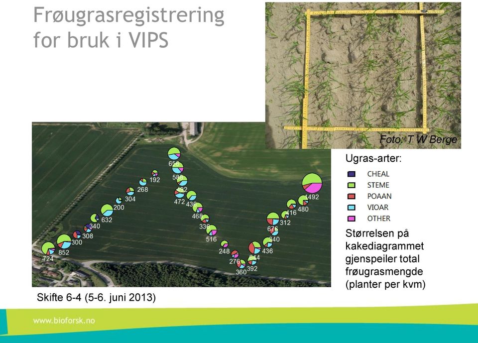 (5-6. juni 2013) Størrelsen på