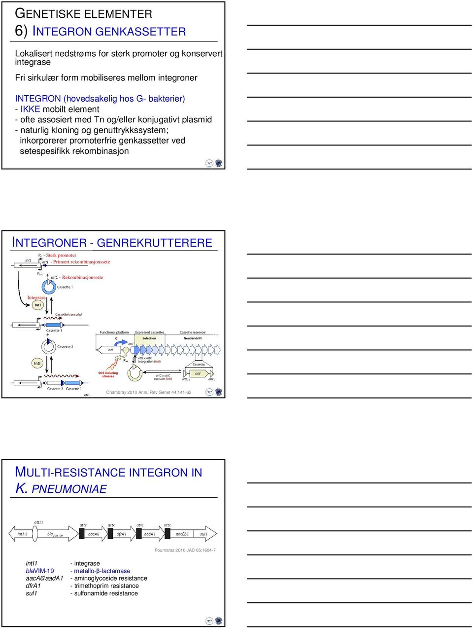 rekombinasjon INTEGRONER - GENREKRUTTERERE - Sterk promoter - Primært rekombinasjonssete - Rekombinasjonssete Integrase Chambray 2010 Annu Rev Genet 44:141-65 MULTI-RESISTANCE INTEGRON IN