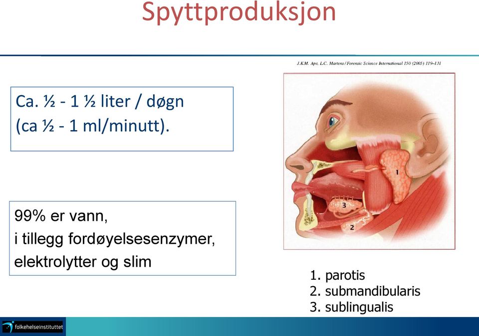 99% er vann, i tillegg fordøyelsesenzymer,