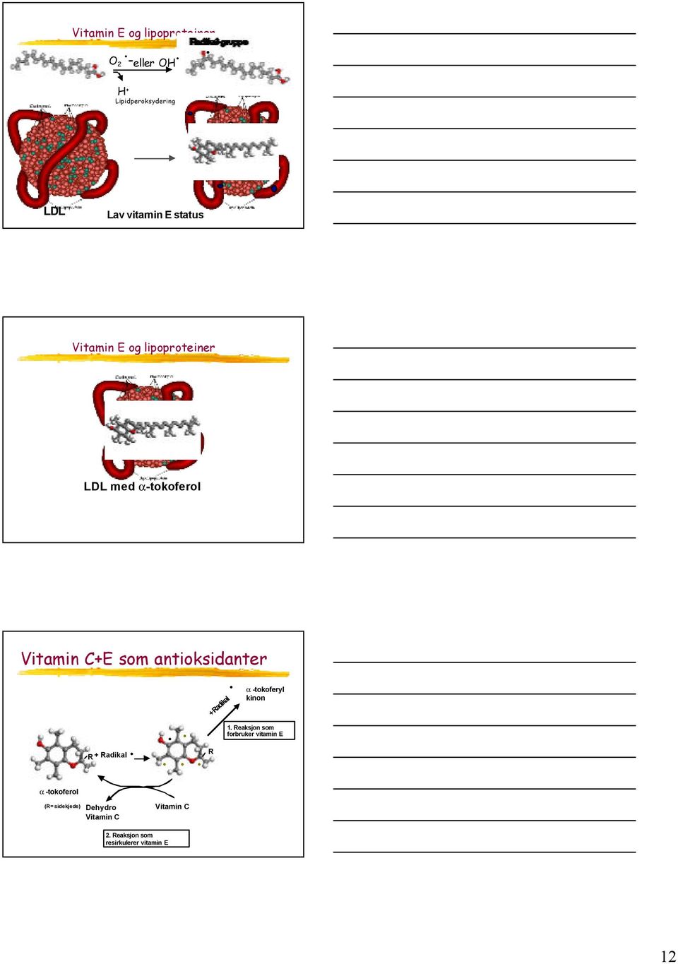 + Radikal a -tokoferyl kinon R+ Radikal R 1 Reaksjon som forbruker vitamin E a