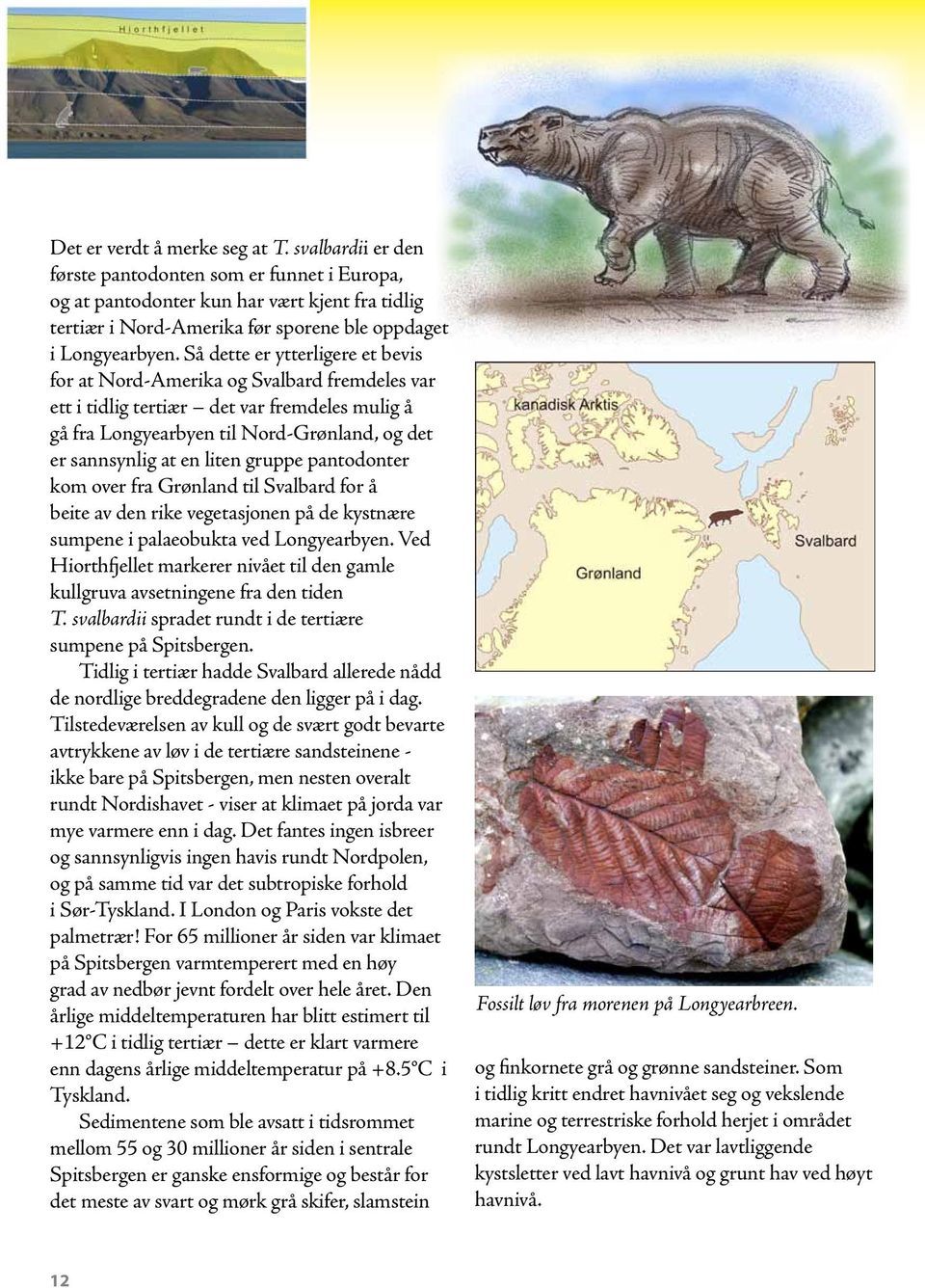 Så dette er ytterligere et bevis for at Nord-Amerika og Svalbard fremdeles var ett i tidlig tertiær det var fremdeles mulig å gå fra Longyearbyen til Nord-Grønland, og det er sannsynlig at en liten