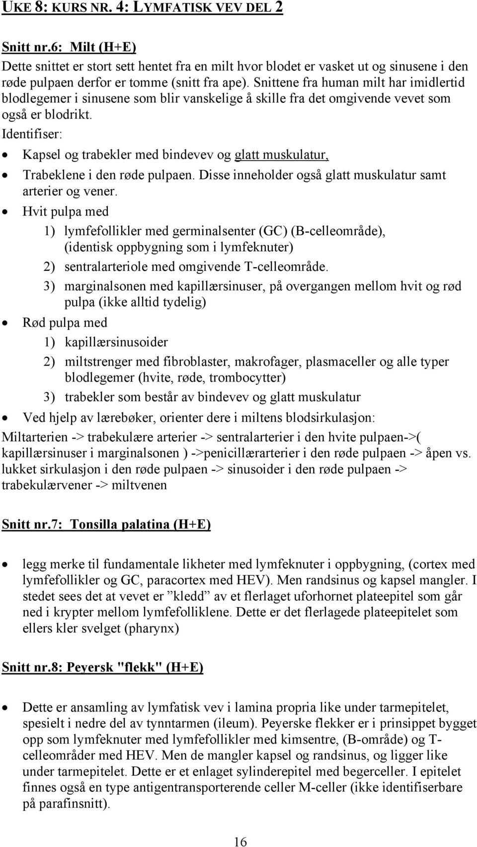 Identifiser: Kapsel og trabekler med bindevev og glatt muskulatur, Trabeklene i den røde pulpaen. Disse inneholder også glatt muskulatur samt arterier og vener.