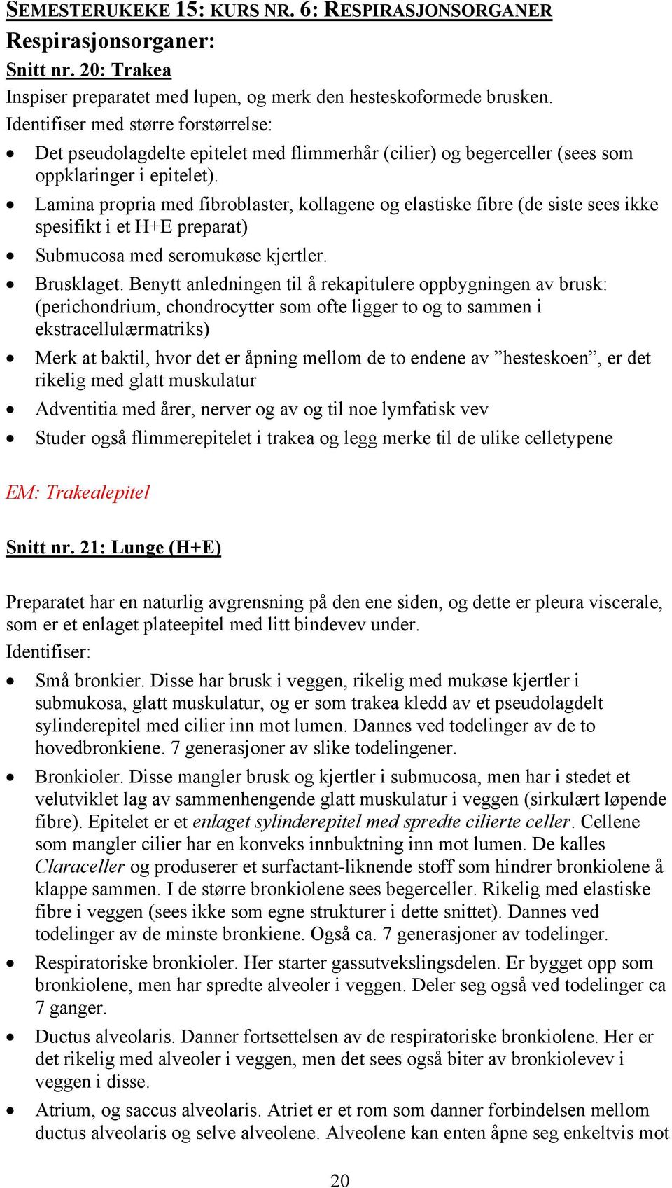 Lamina propria med fibroblaster, kollagene og elastiske fibre (de siste sees ikke spesifikt i et H+E preparat) Submucosa med seromukøse kjertler. Brusklaget.