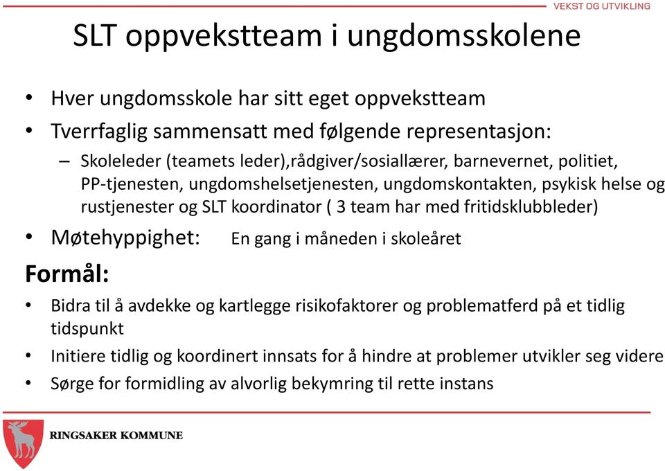 ( 3 team har med fritidsklubbleder) Møtehyppighet: En gang i måneden i skoleåret Formål: Bidra til å avdekke og kartlegge risikofaktorer og problematferd på