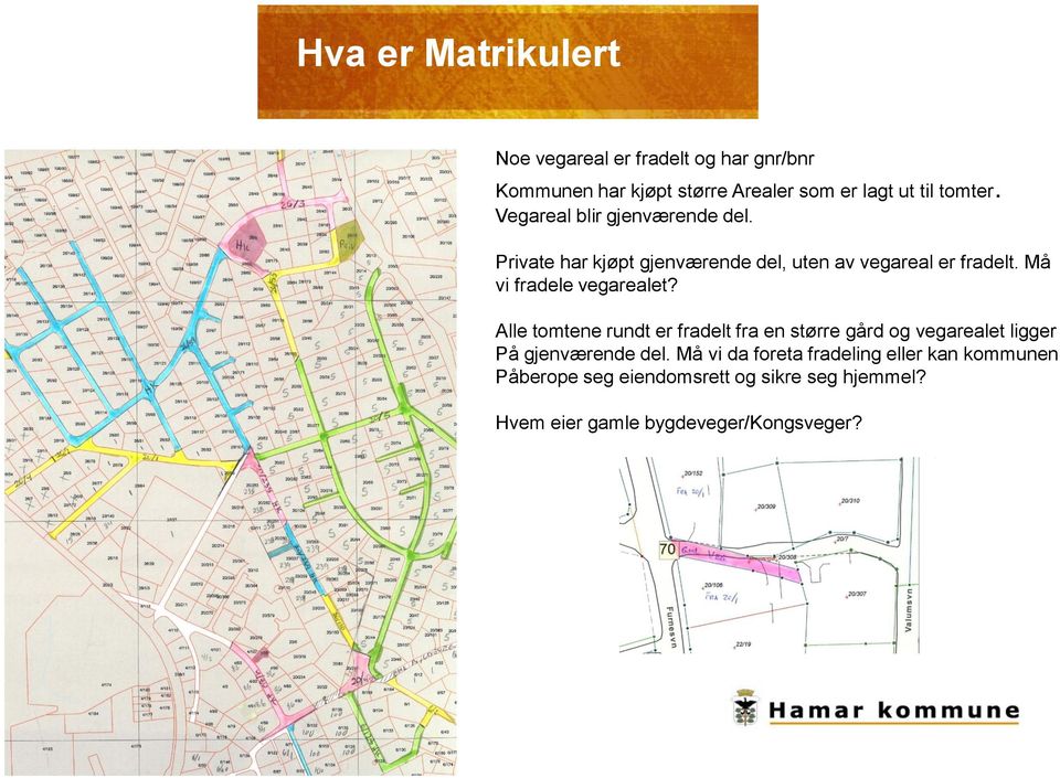 Må vi fradele vegarealet? Alle tomtene rundt er fradelt fra en større gård og vegarealet ligger På gjenværende del.