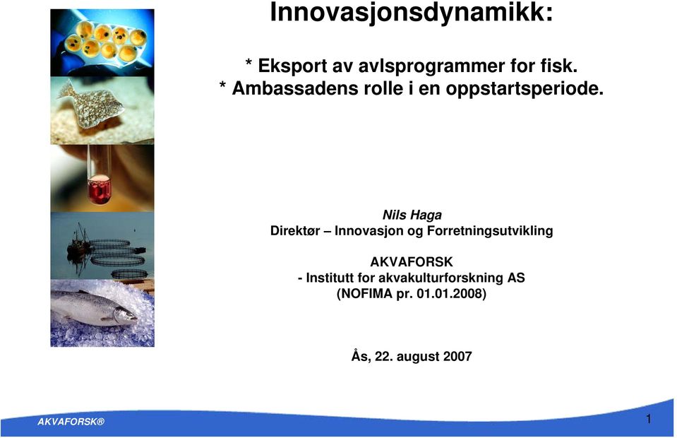 Nils Haga Direktør Innovasjon og Forretningsutvikling AKVAFORSK
