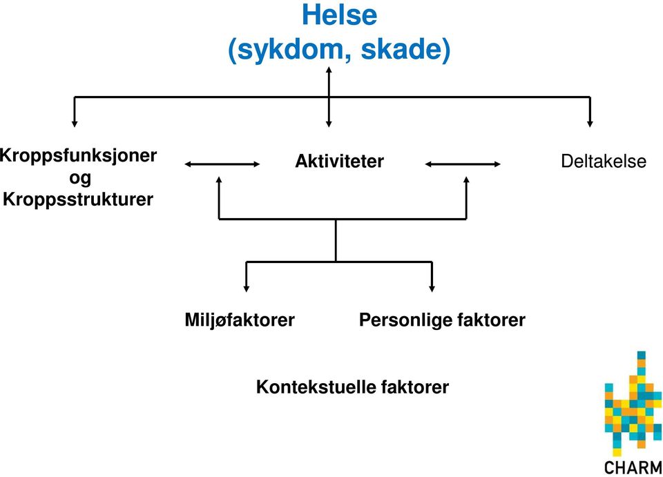 Kroppsstrukturer Aktiviteter