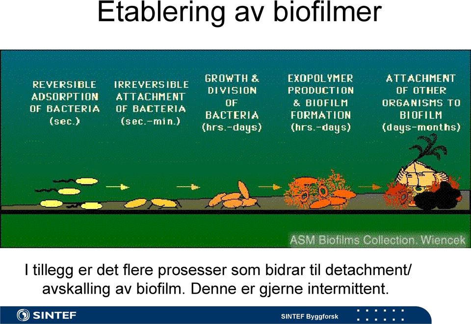 til detachment/ avskalling av