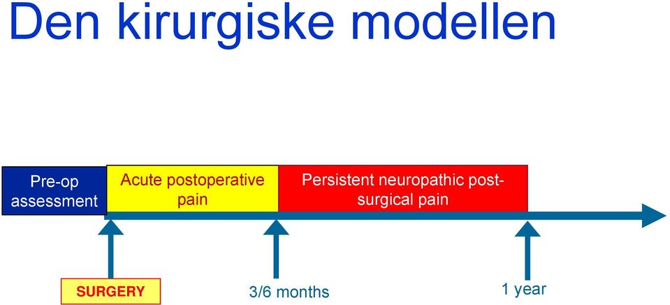 pain Persistent neuropathic