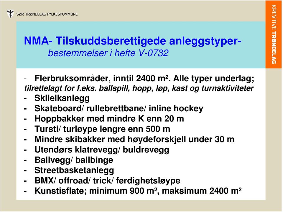 ballspill, hopp, løp, kast og turnaktiviteter - Skileikanlegg - Skateboard/ rullebrettbane/ inline hockey - Hoppbakker med mindre K