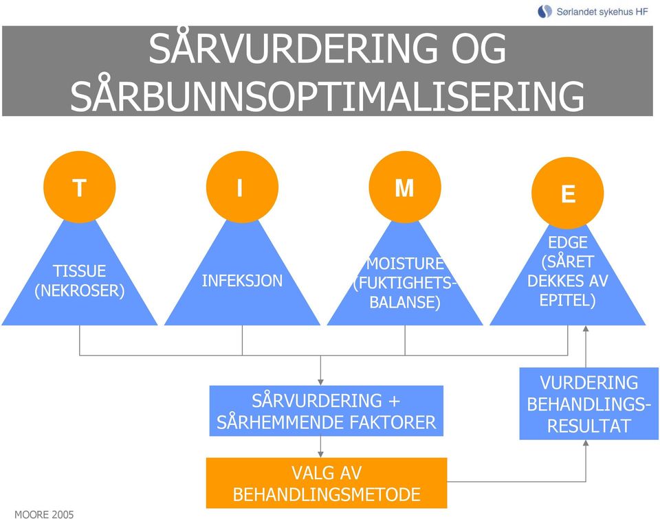 (SÅRET DEKKES AV EPITEL) SÅRVURDERING + SÅRHEMMENDE