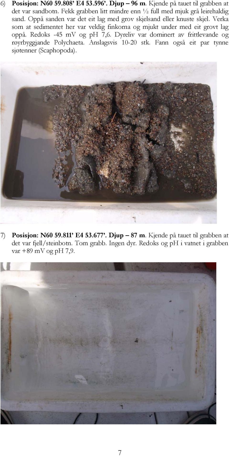 Redoks -45 mv og ph 7,6. Dyreliv var dominert av frittlevande og røyrbyggjande Polychaeta. Anslagsvis 10-20 stk. Fann også eit par tynne sjøtenner (Scaphopoda).