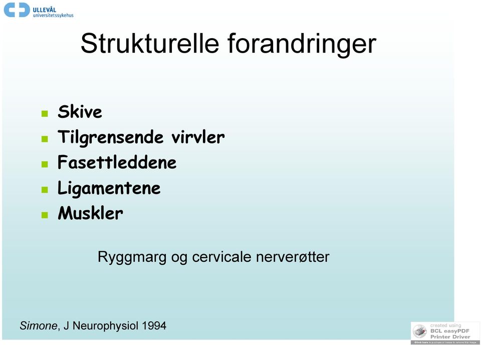 Ligamentene Muskler Ryggmarg og