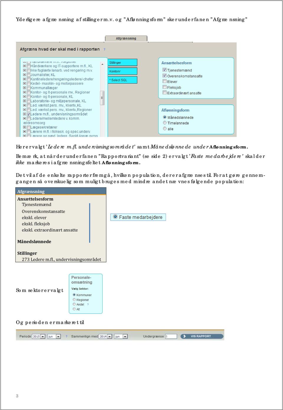 Det vil af de enkelte rapporter fremgå, hvilken, der er afgrænses til.