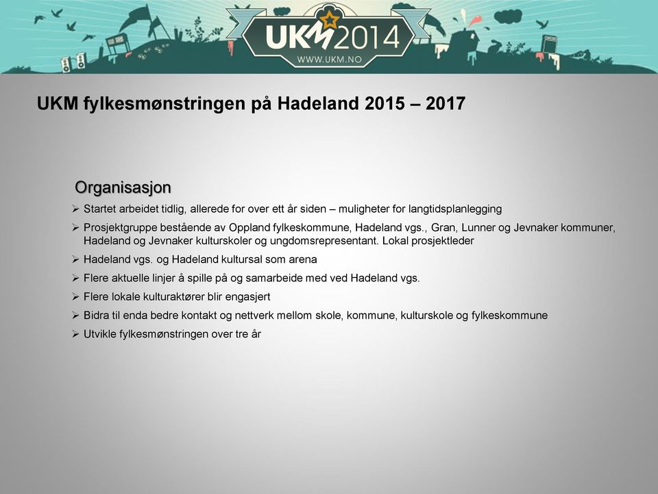 , Gran, Lunner og Jevnaker kommuner, Hadeland og Jevnaker kulturskoler og ungdomsrepresentant. Lokal prosjektleder Hadeland vgs.