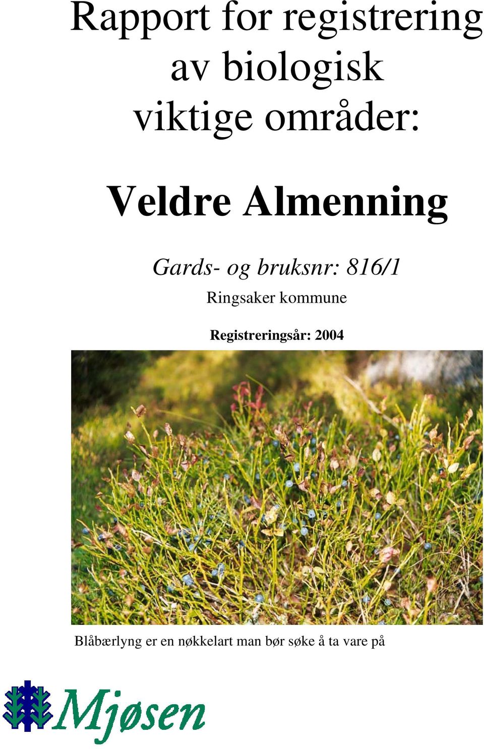 816/1 Ringsaker kommune Registreringsår: 2004