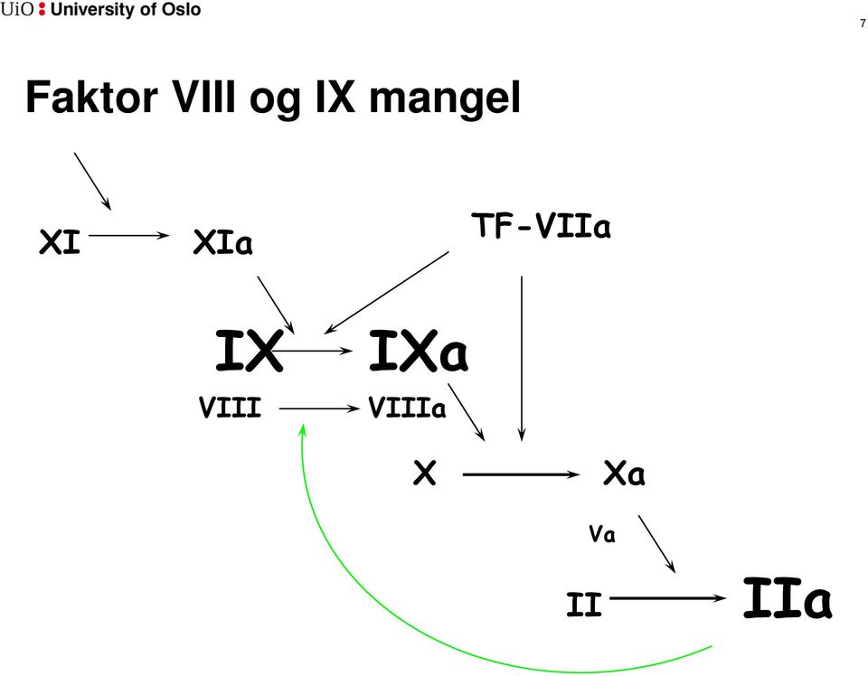 TF-VIIa IX VIII