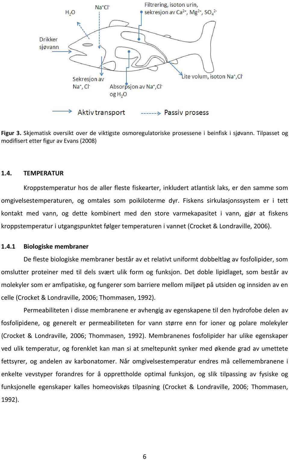 Fiskens sirkulasjonssystem er i tett kontakt med vann, og dette kombinert med den store varmekapasitet i vann, gjør at fiskens kroppstemperatur i utgangspunktet følger temperaturen i vannet (Crocket