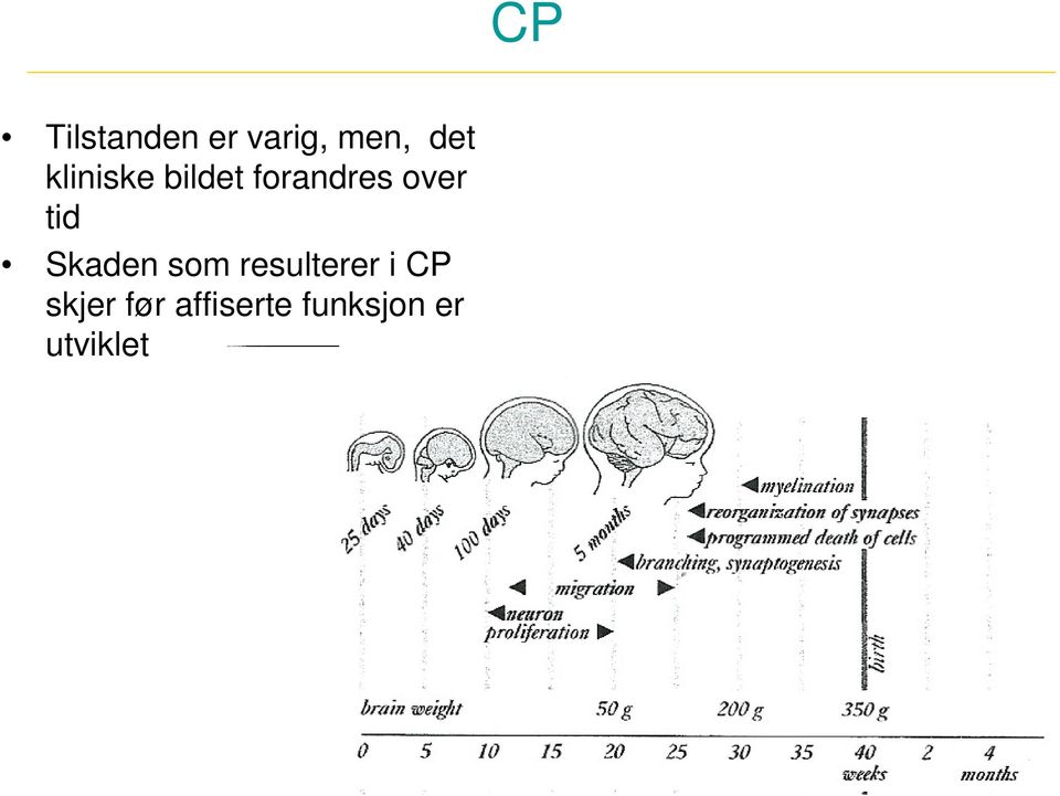 tid Skaden som resulterer i CP