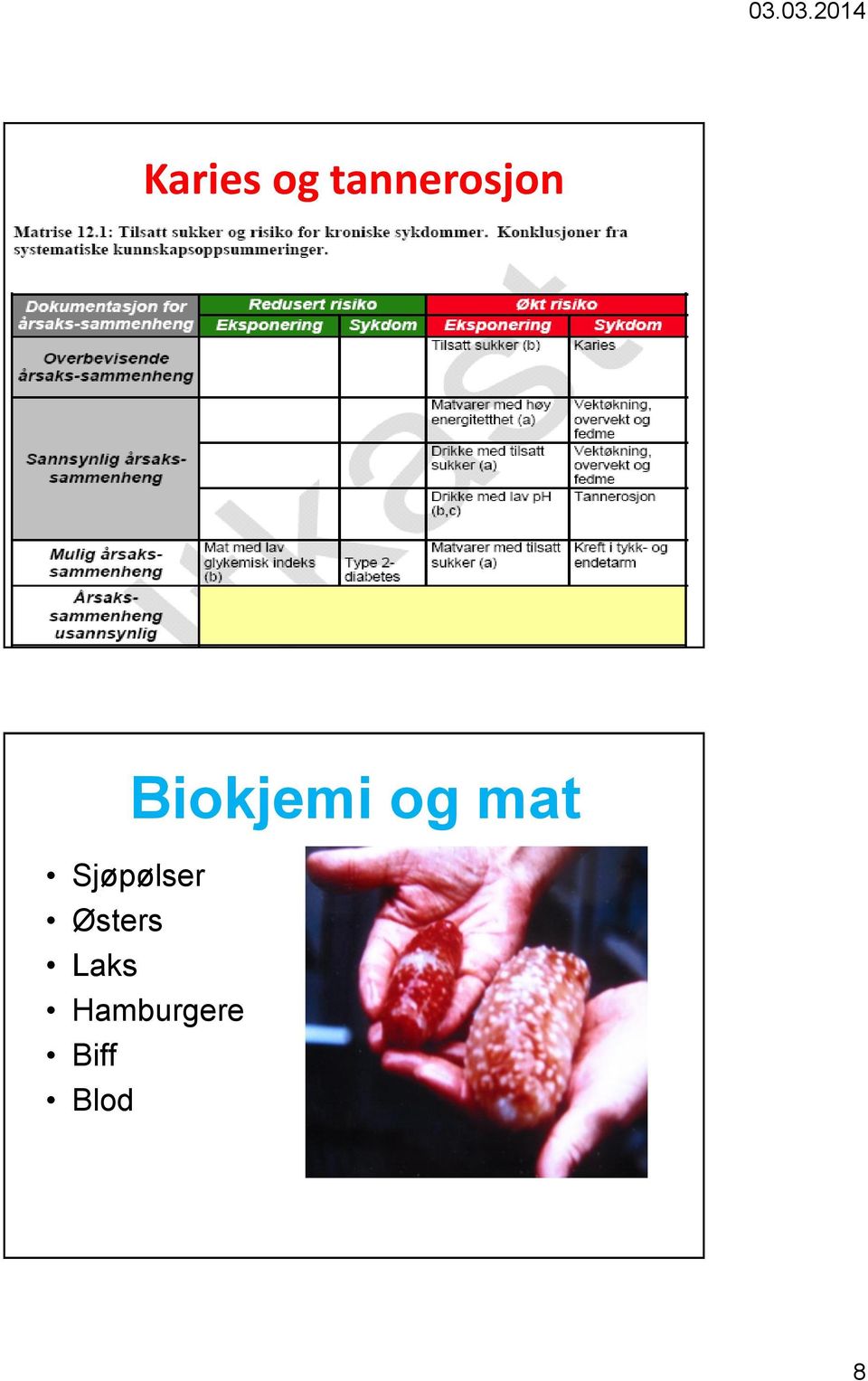 og mat Sjøpølser