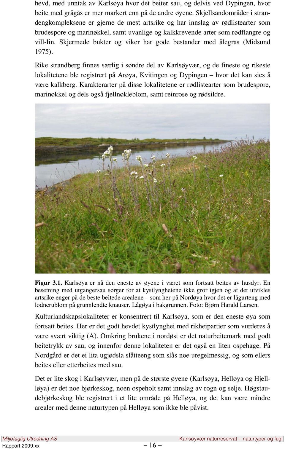 Skjermede bukter og viker har gode bestander med ålegras (Midsund 1975).